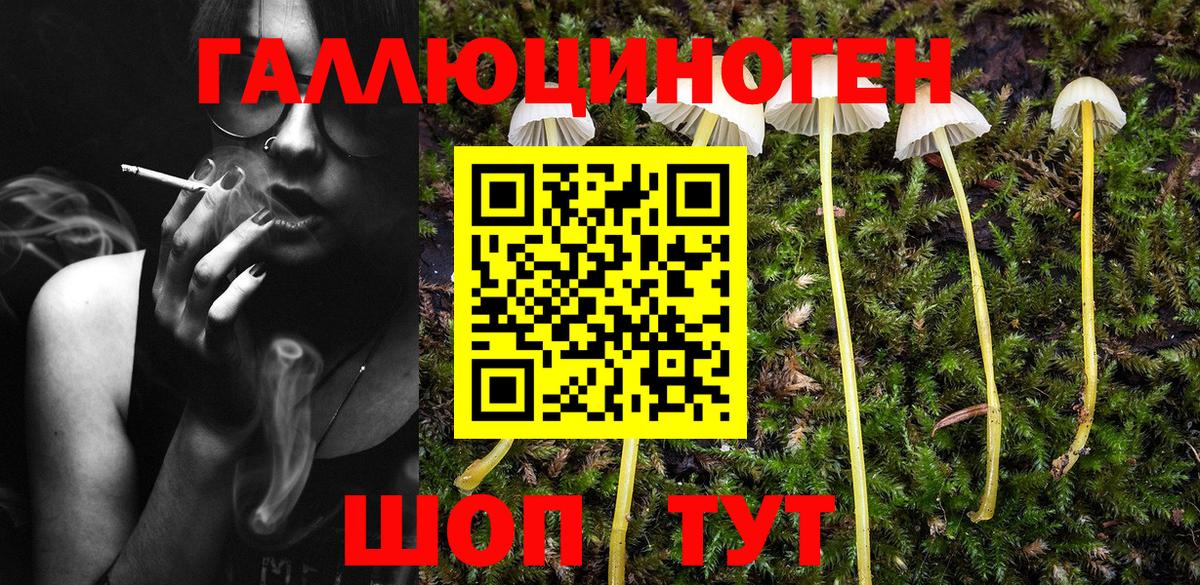 Псилоцибиновые грибы ЛСД  наркота  Чусовой  Вход с VPN 